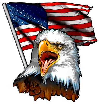 Eagle Screaming USA Flag