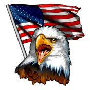 Eagle Screaming USA Flag
