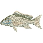 Fish Realistic for Embroidery